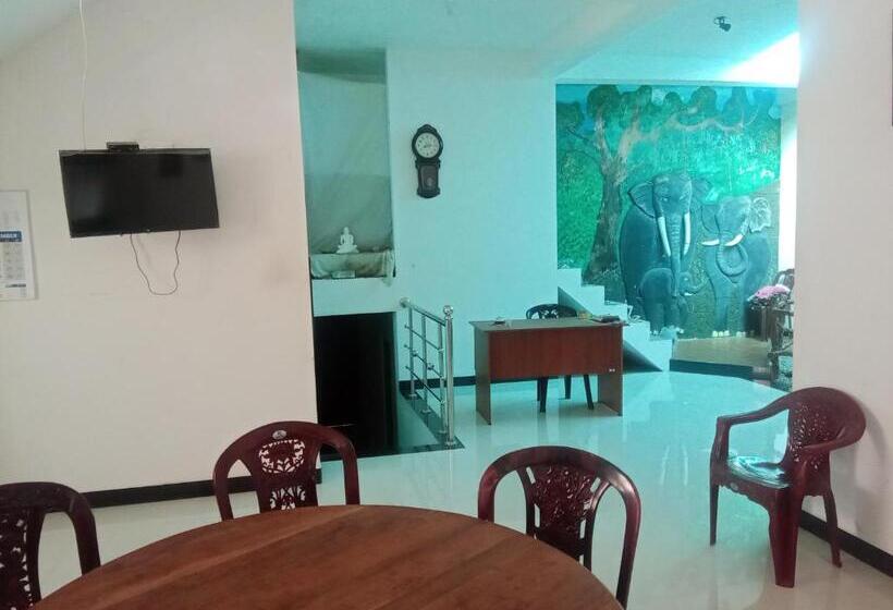 בית מלון כפרי Summer House Resort