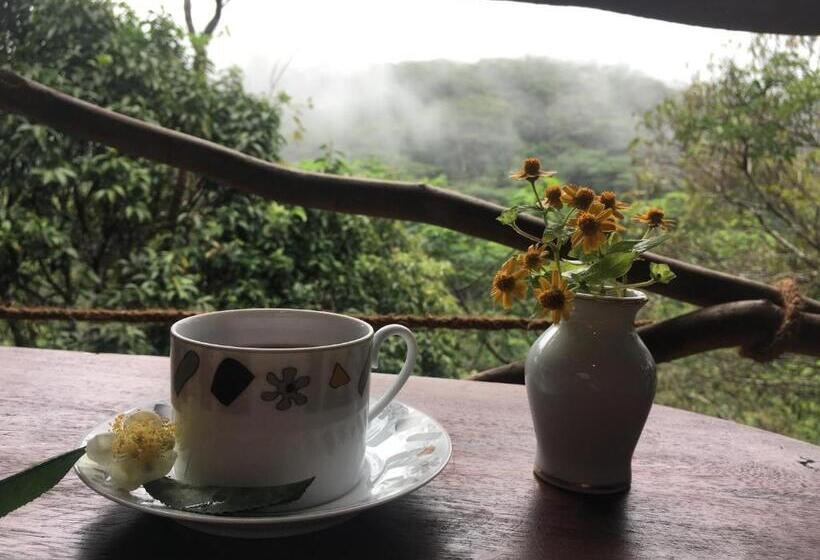 ホテル The Vintage Villa   Knuckles