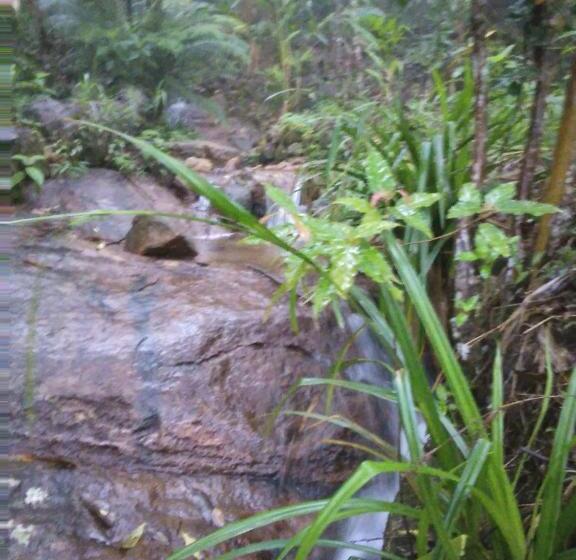 ホテル The Vintage Villa   Knuckles