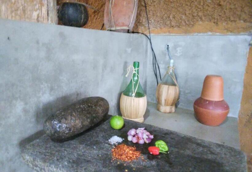 ホテル The Vintage Villa   Knuckles