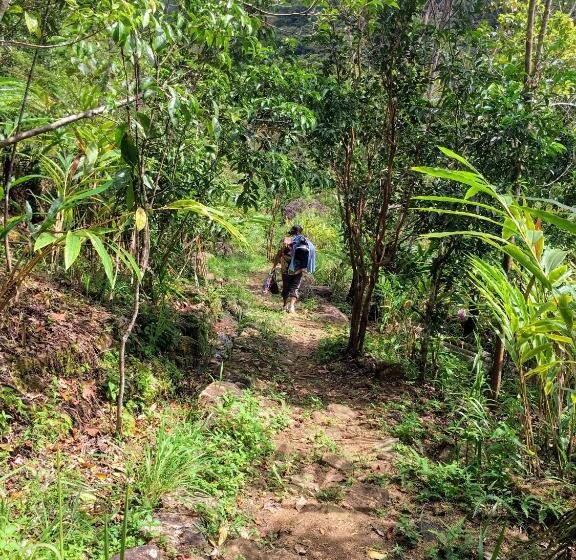 ホテル The Vintage Villa   Knuckles