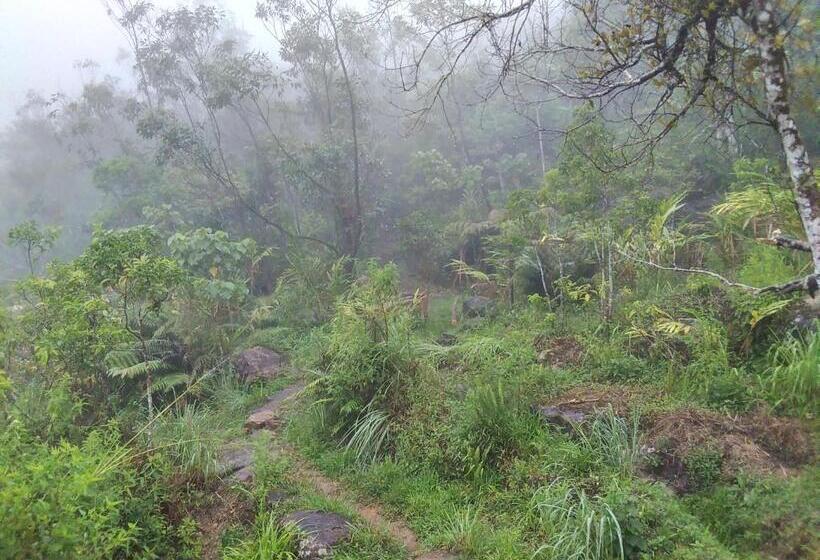 ホテル The Vintage Villa   Knuckles