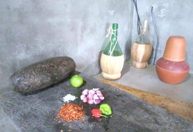 ホテル The Vintage Villa   Knuckles