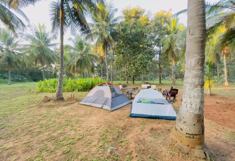 בית מלון כפרי Woodgreen Farm