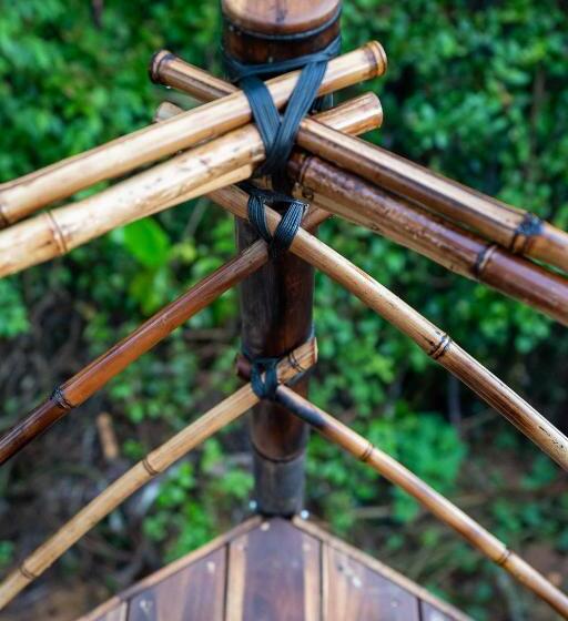 Jungle Gayborhood   Lgbtq Boutique Hotel And Retreat