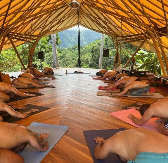 Jungle Gayborhood   Lgbtq Boutique Hotel And Retreat