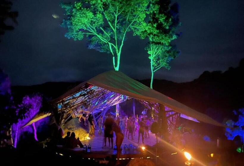 Jungle Gayborhood   Lgbtq Boutique Hotel And Retreat