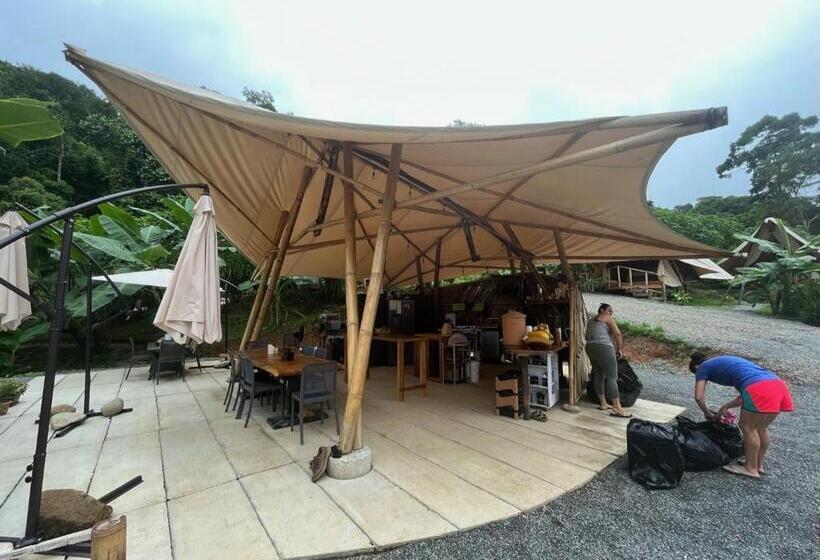 Jungle Gayborhood   Lgbtq Boutique Hotel And Retreat