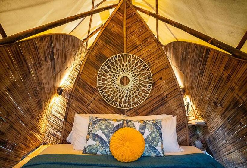 Jungle Gayborhood   Lgbtq Boutique Hotel And Retreat