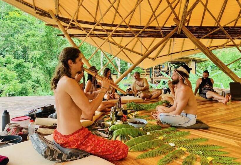 Jungle Gayborhood   Lgbtq Boutique Hotel And Retreat