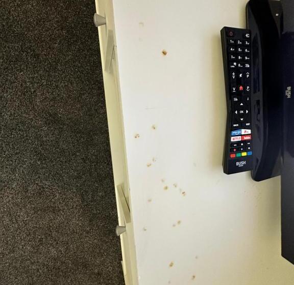 Lovely Town House Room 5