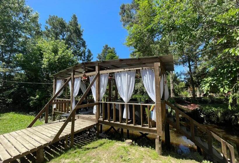 Mostrotel   Tu Hotel En El Delta