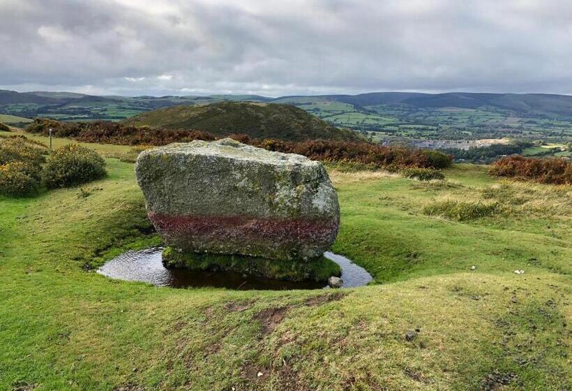 Offa S Dyke Lodge B&b