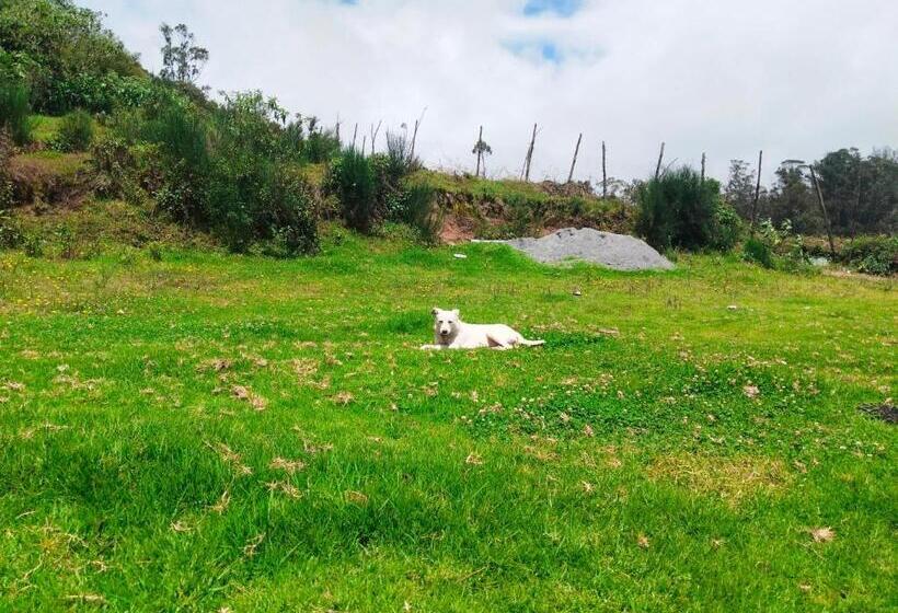 אתר נופש Bs Dreamz Ooty