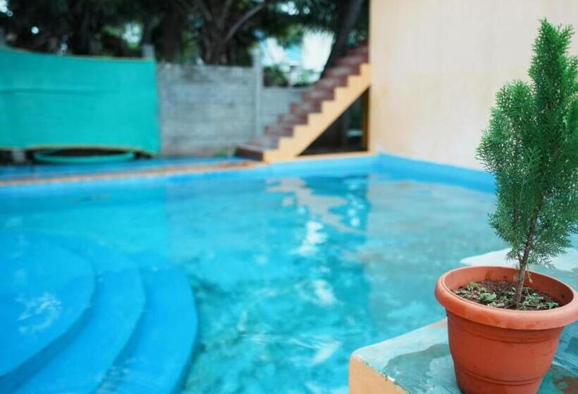 Paradise Feel Dreamy Resort