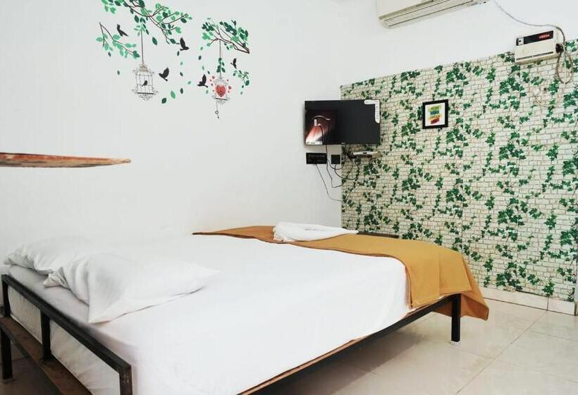 Paradise Feel Dreamy Resort