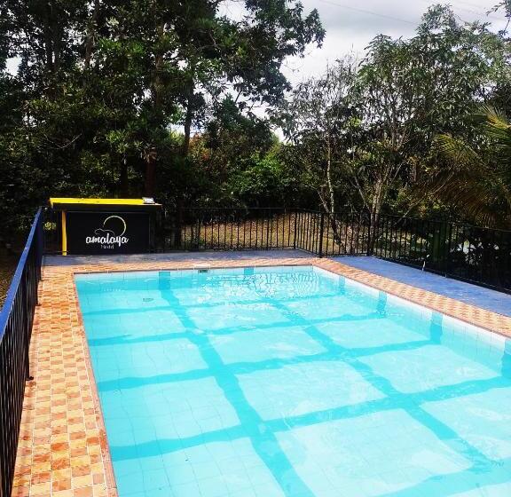 膳宿费 Amalaya Hostel