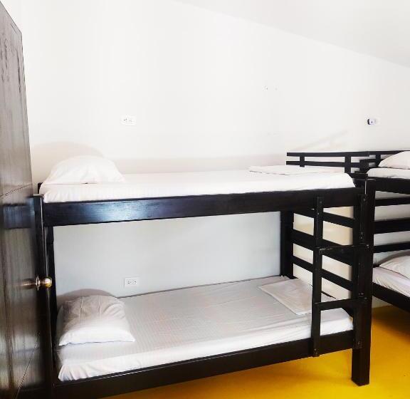 膳宿费 Amalaya Hostel