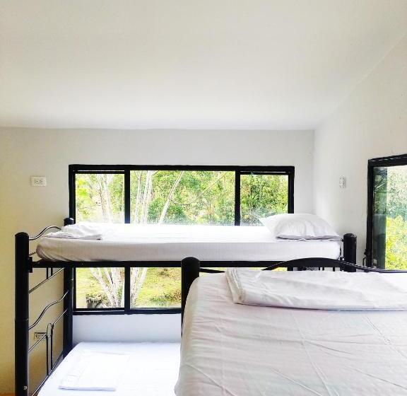 膳宿费 Amalaya Hostel