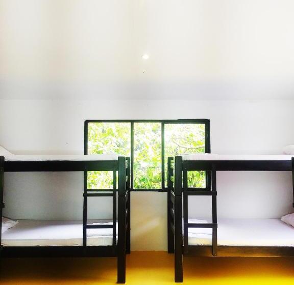 膳宿费 Amalaya Hostel