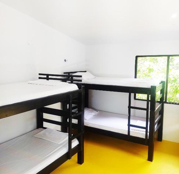 膳宿费 Amalaya Hostel