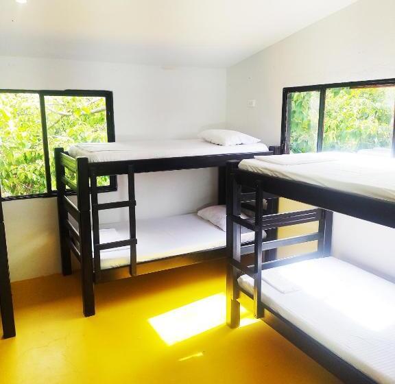 پانسیون Amalaya Hostel