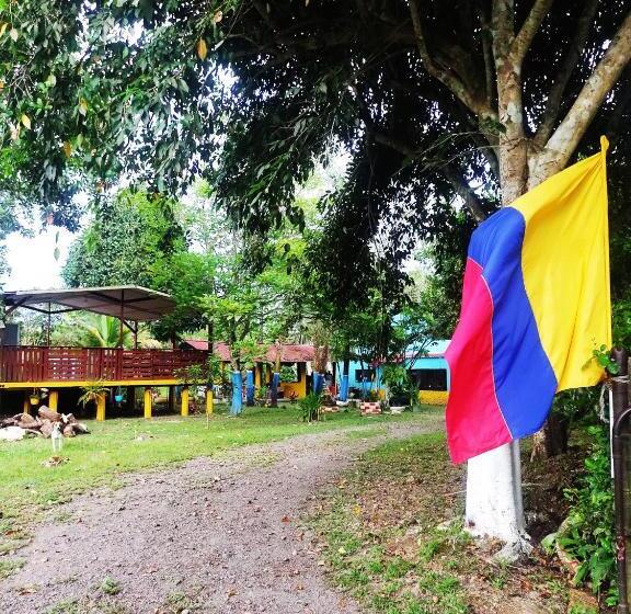 پانسیون Amalaya Hostel