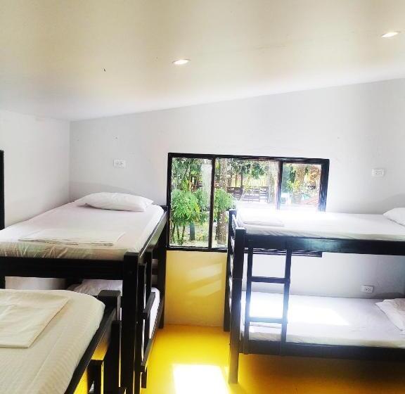 膳宿费 Amalaya Hostel