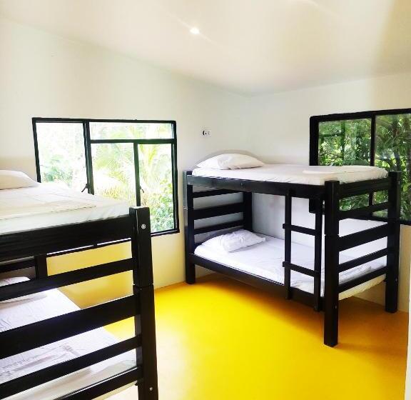 پانسیون Amalaya Hostel