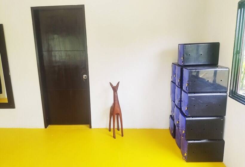 膳宿费 Amalaya Hostel