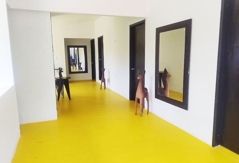 پانسیون Amalaya Hostel