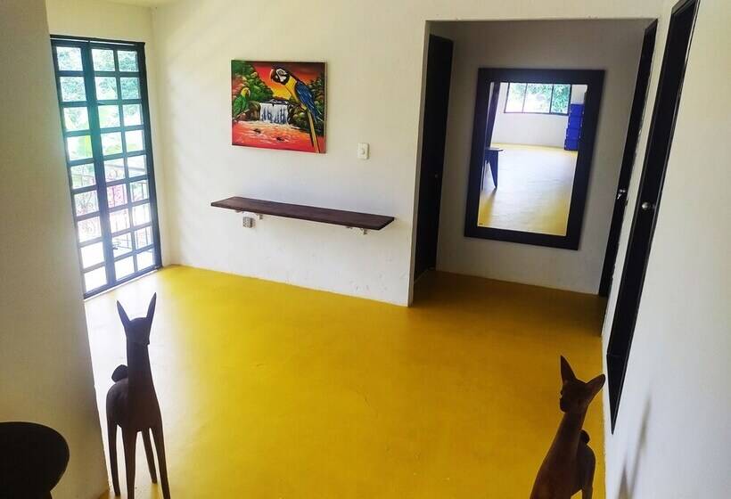 膳宿费 Amalaya Hostel