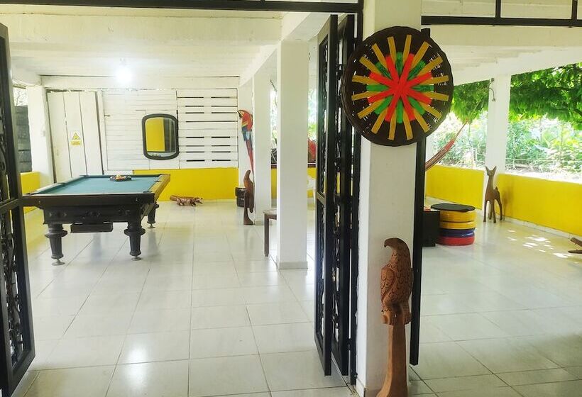 膳宿费 Amalaya Hostel