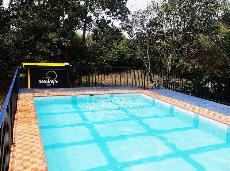 膳宿费 Amalaya Hostel