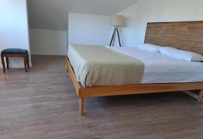 Pensión Antigua Viña Bed And Breakfast