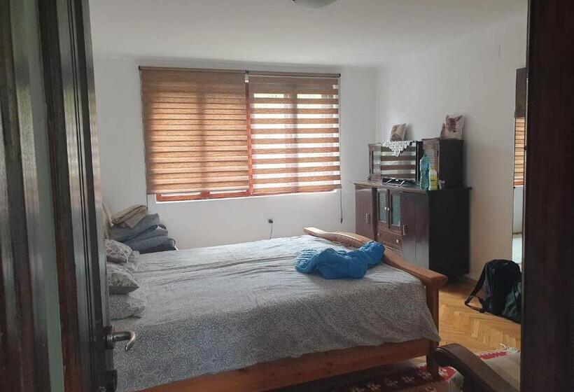 膳宿费 Casa Cu Terasa De Vis