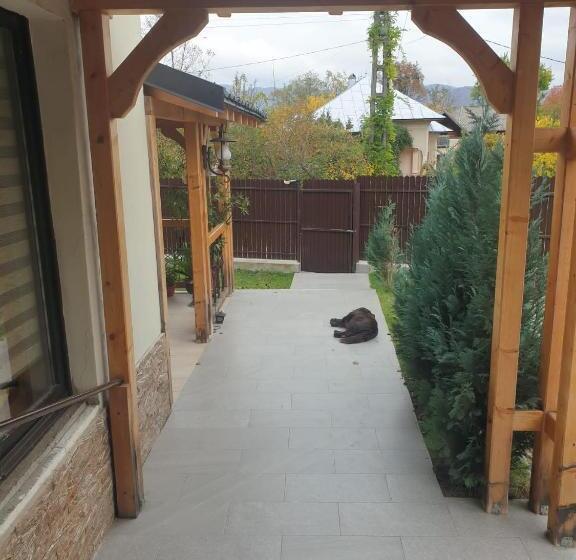 膳宿费 Casa Cu Terasa De Vis