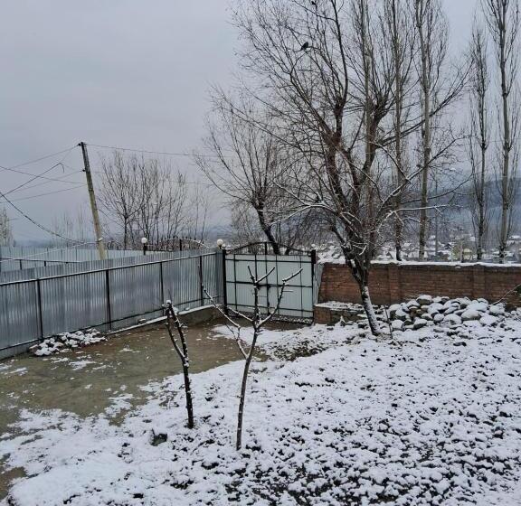 פנסיון Conifer View Guest House