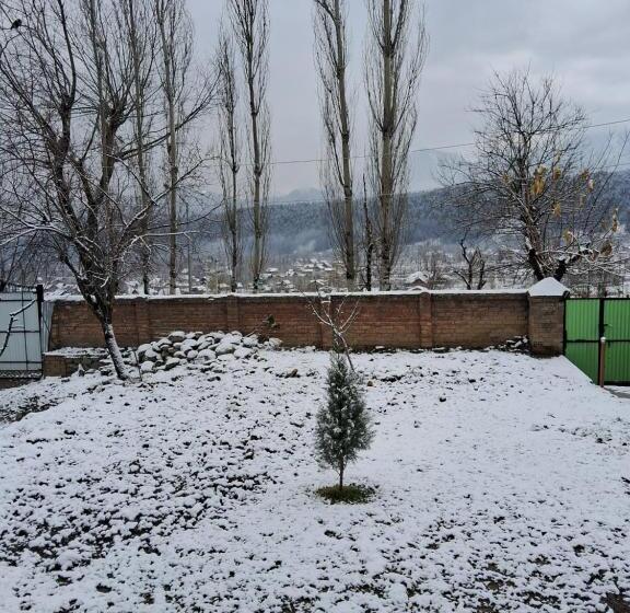 פנסיון Conifer View Guest House