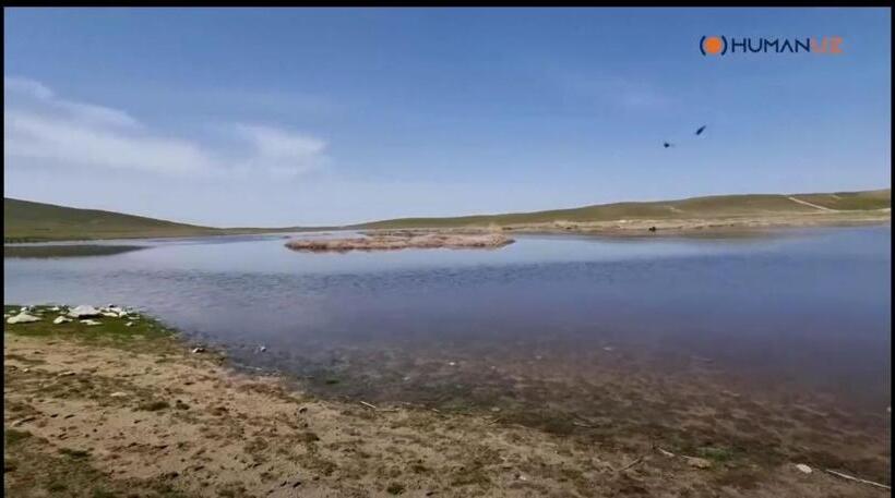 Panzió Damirbek Davronov Guest House