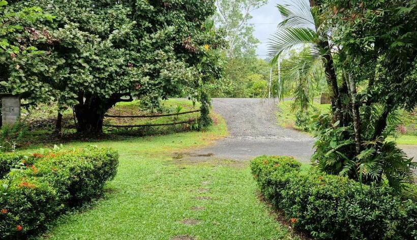 بنسيون Finca Mamacita