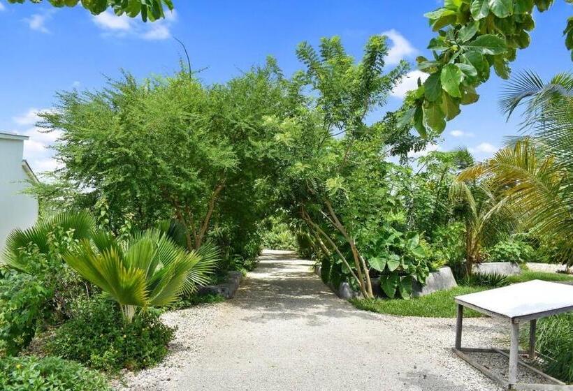 פנסיון Fumba Apartment