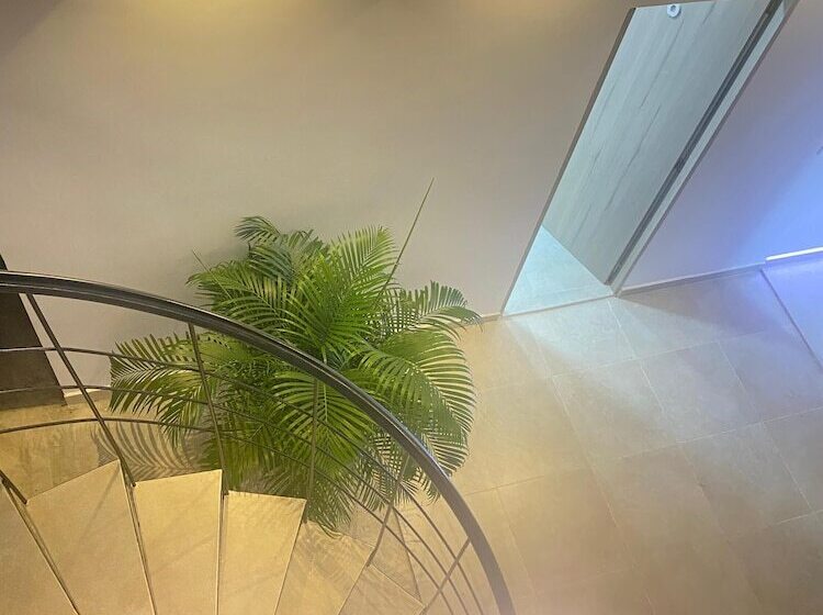 פנסיון Guakmaya Hostel