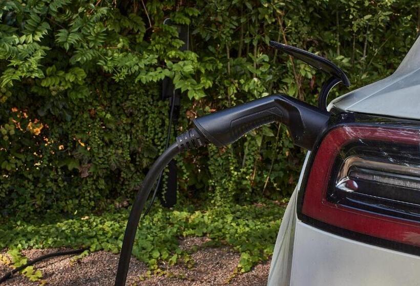 بنسيون Il Giardino Segreto