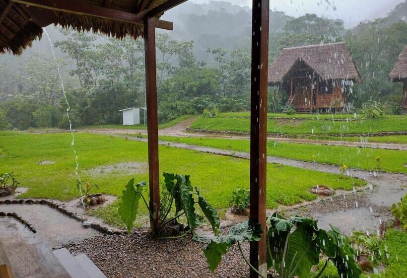 پانسیون Kotsimba Lodge