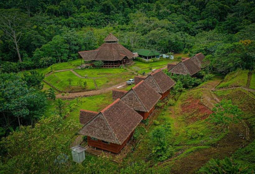 پانسیون Kotsimba Lodge