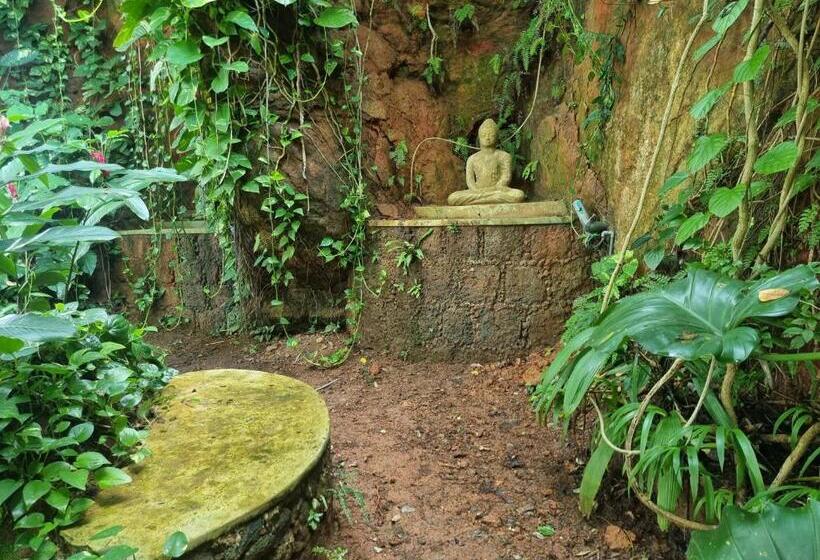 膳宿费 Miracle Garden