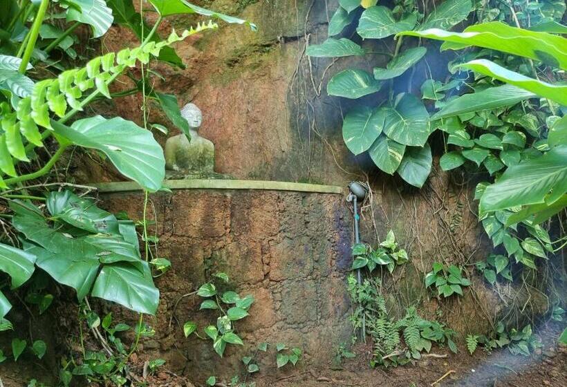 膳宿费 Miracle Garden