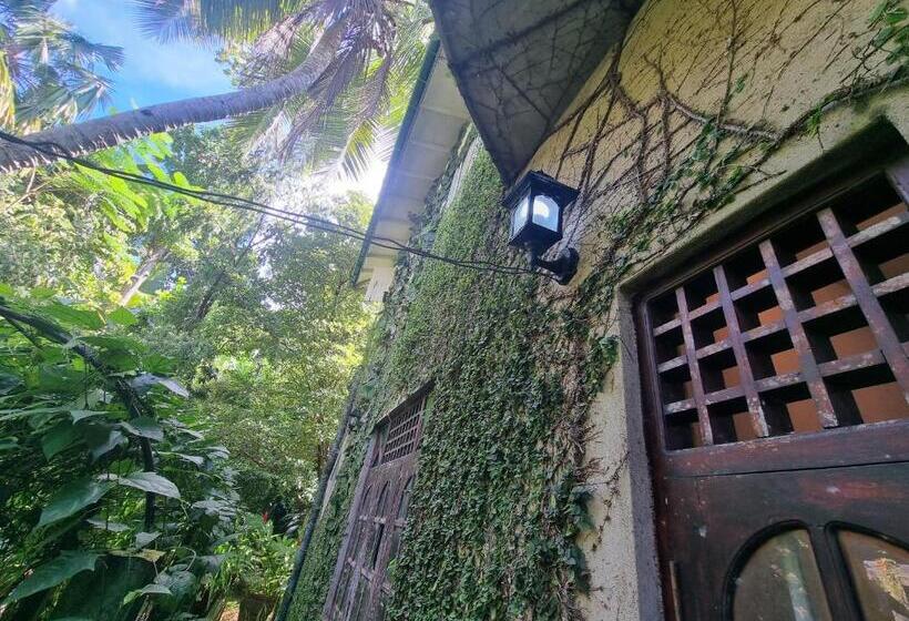 膳宿费 Miracle Garden