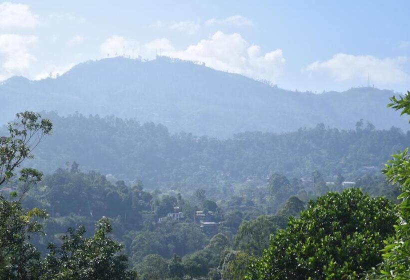 Pension Mountain Top Guest